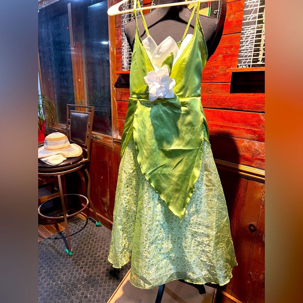 Youth free formal or dress up dress